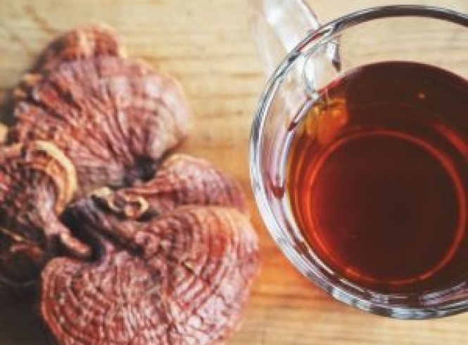 Uống nước nấm linh chi mỗi ngày có được không?