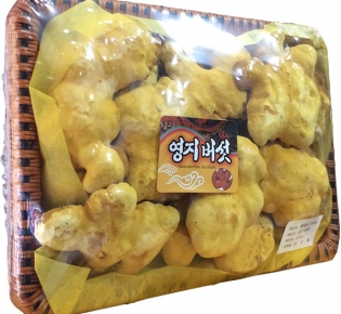 Nấm Thượng Hoàng Hàn Quốc thượng hạng 1kg